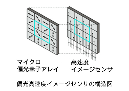 偏光高速度イメージセンサの構造図