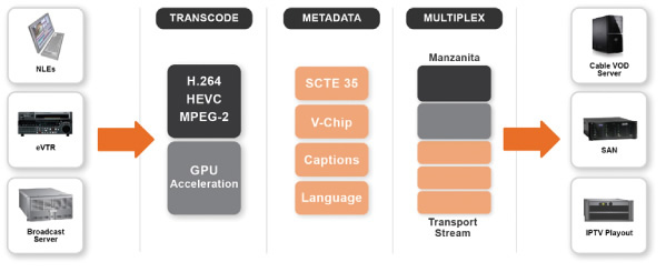 Vantage Transcode IPTV/VOD